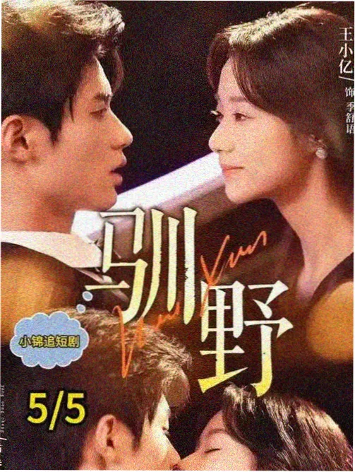 开心影院收录剧集修理铺的春天的工作台画面